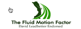 Fluid Motion Factor